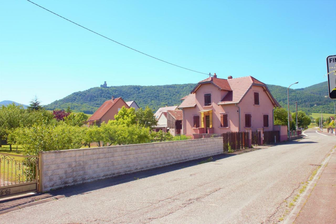 La Halte Des Vignes - Route Des Vins D'Alsace Apartment Scherwiller Екстериор снимка