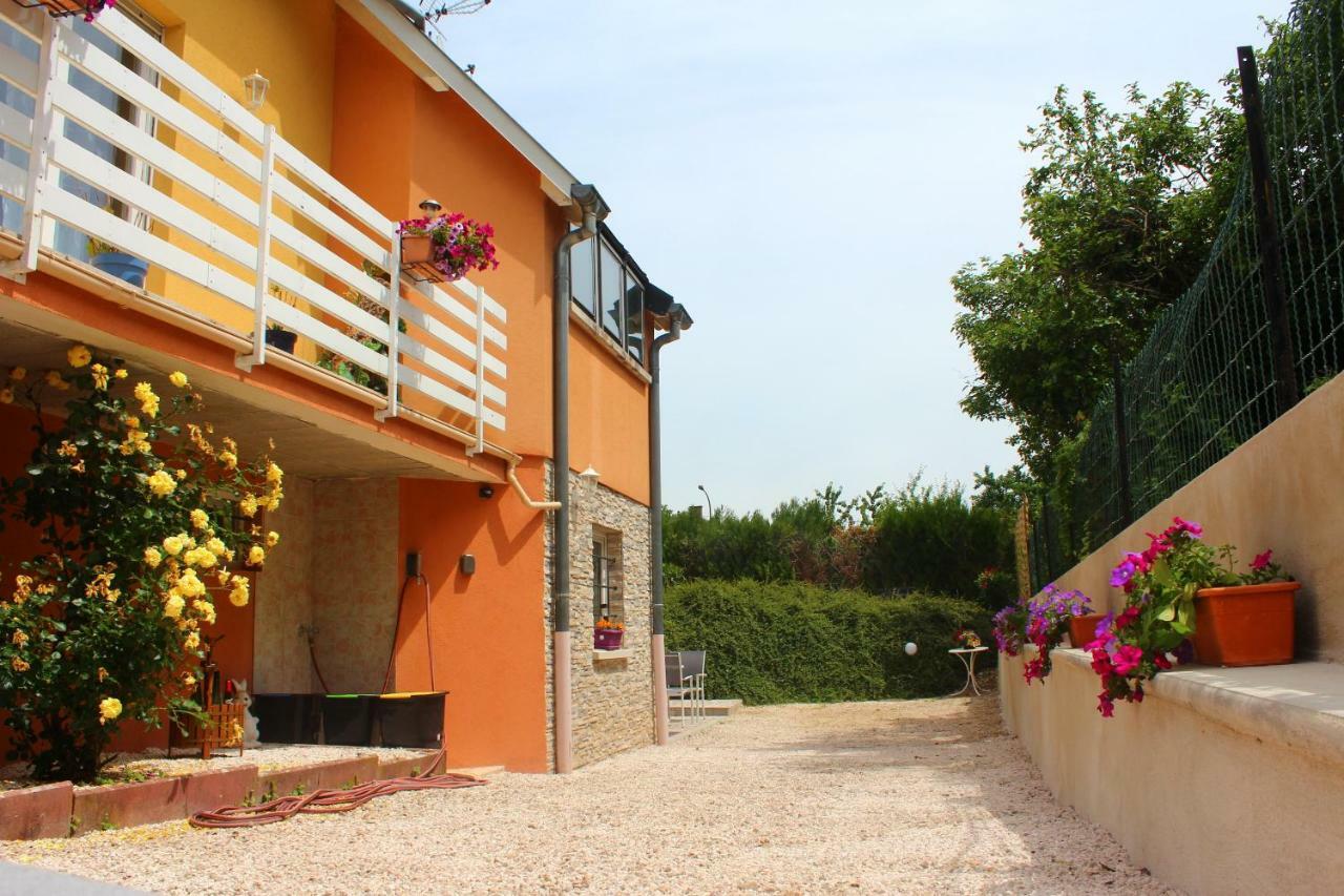 La Halte Des Vignes - Route Des Vins D'Alsace Apartment Scherwiller Екстериор снимка