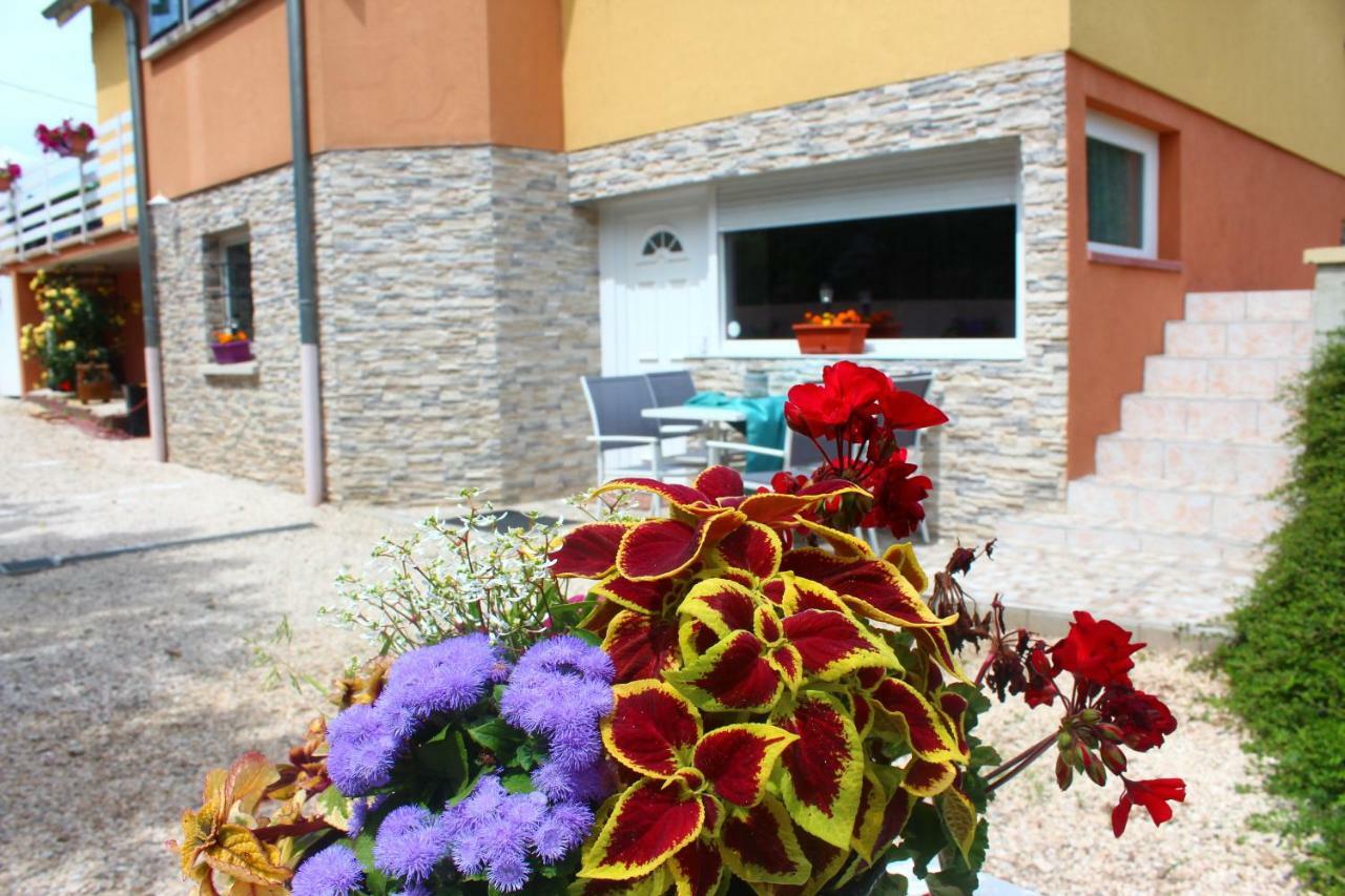 La Halte Des Vignes - Route Des Vins D'Alsace Apartment Scherwiller Екстериор снимка